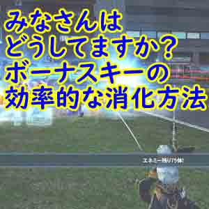 みなさんボーナスキーの消化はどうしてますか めんどくさがり屋用のオススメ消化方法 Pso2プレイ日記 いろいろ雑記帳